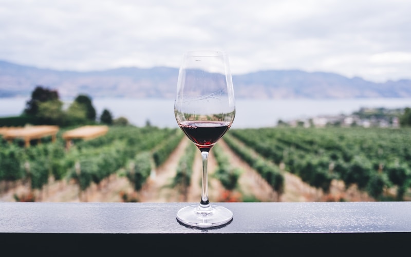 Fiesta de la Vendimia de Colchagua 2025: Tres días de vino y tradición en Santa Cruz