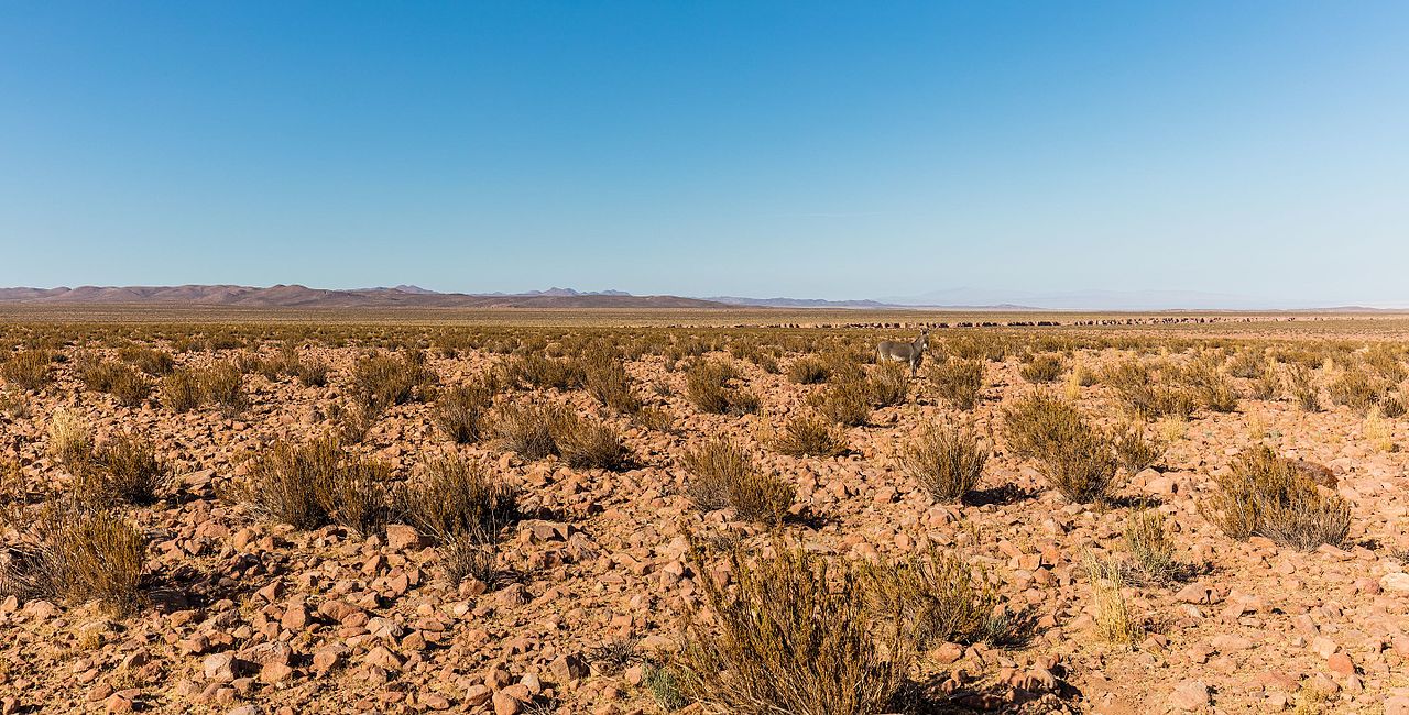 Calama