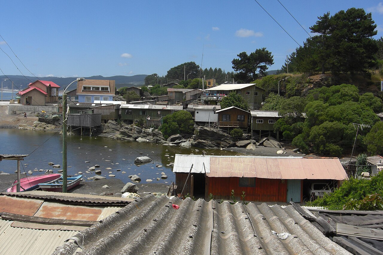 Constitución